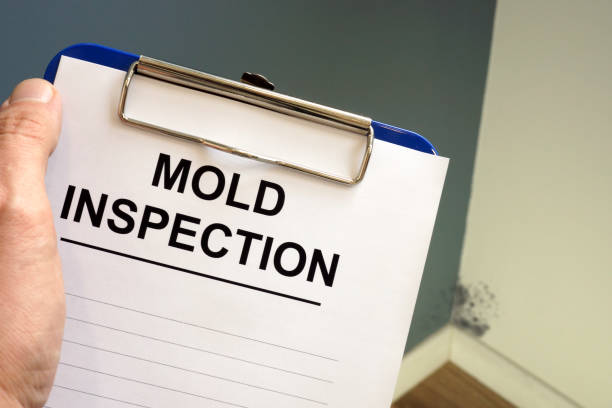 Best Mold-Related Health Consultation  in Quinlan, TX